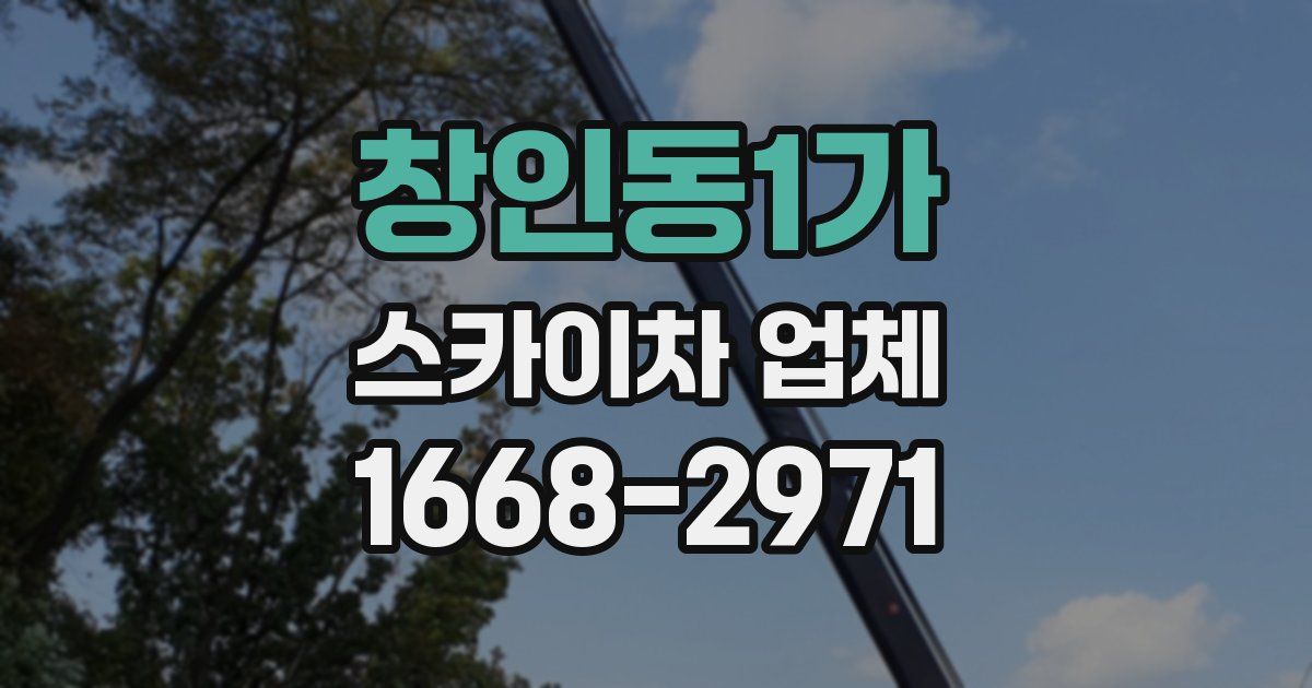 창인동1가 스카이차 업체