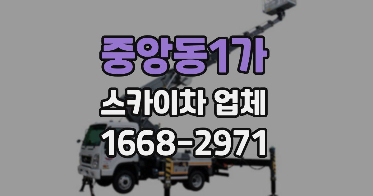 중앙동1가 스카이차 업체