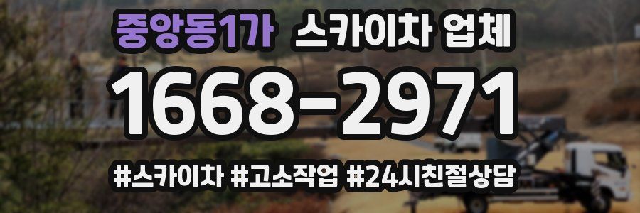 중앙동1가 스카이차 업체