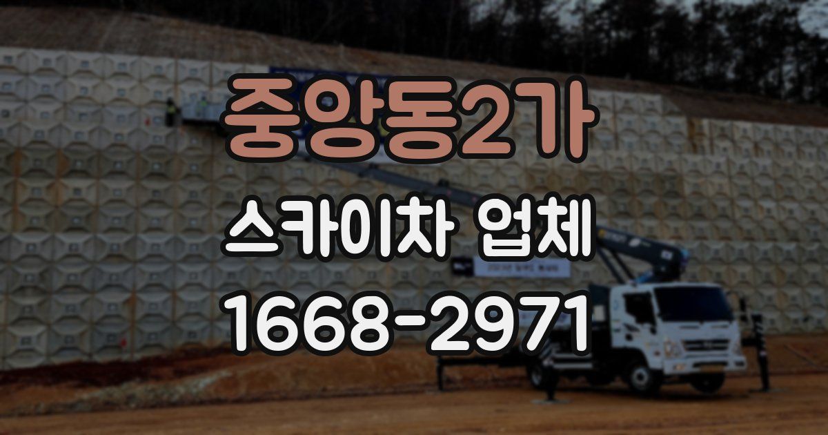 중앙동2가 스카이차 업체