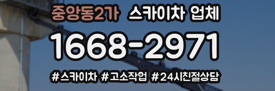 중앙동2가 스카이차 업체