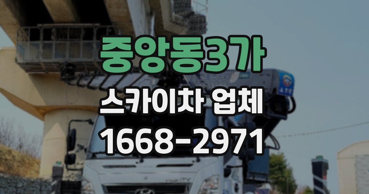 중앙동3가 스카이차 업체