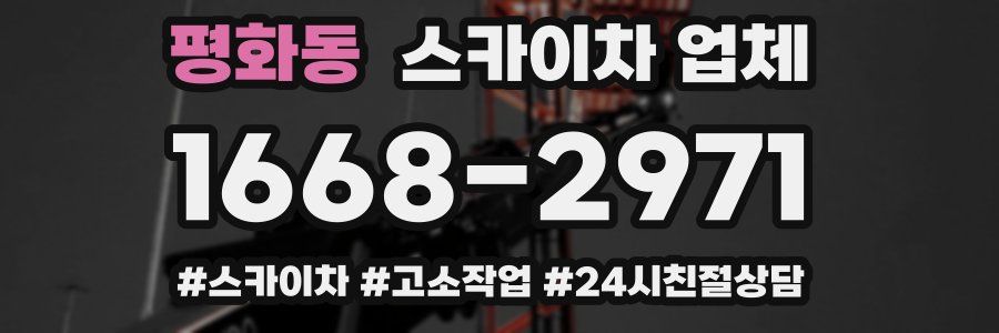 평화동 스카이차 업체