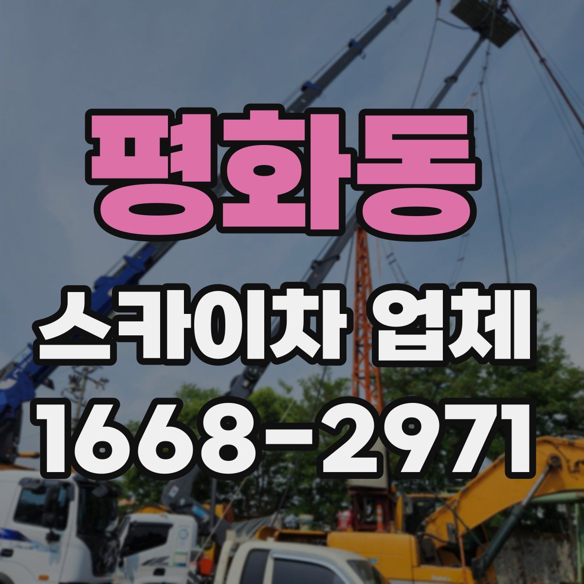 평화동 스카이차 업체