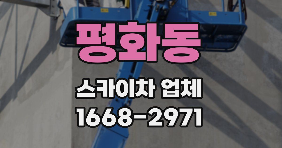 평화동 스카이차 업체