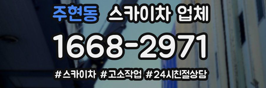 주현동 스카이차 업체