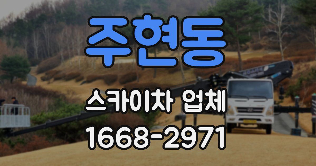 주현동 스카이차 업체