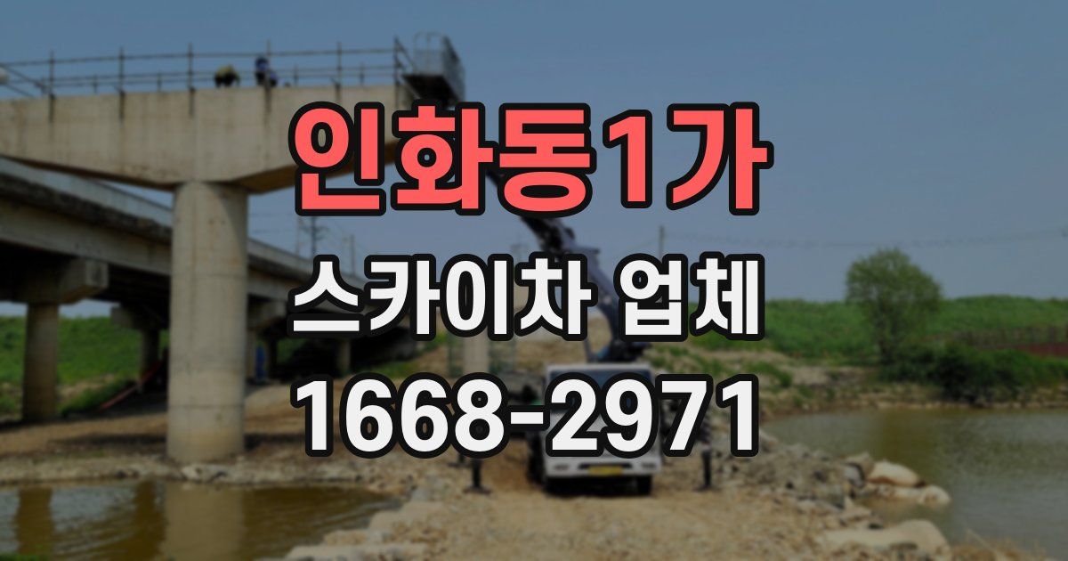 인화동1가 스카이차 업체