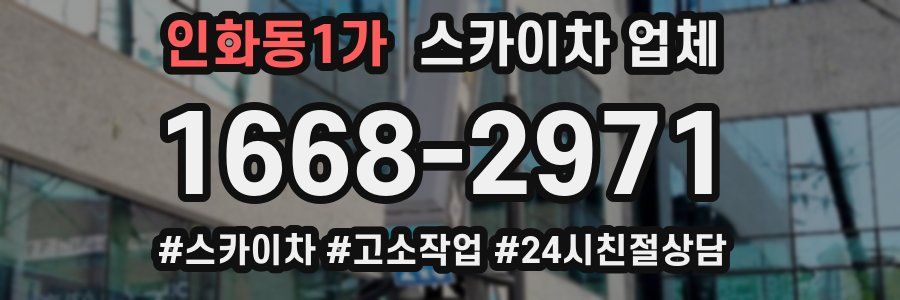 인화동1가 스카이차 업체