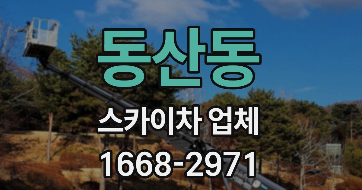 동산동 스카이차 업체