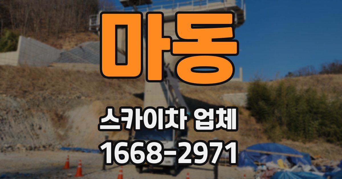 마동 스카이차 업체
