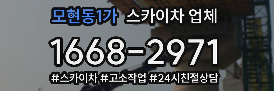 모현동1가 스카이차 업체