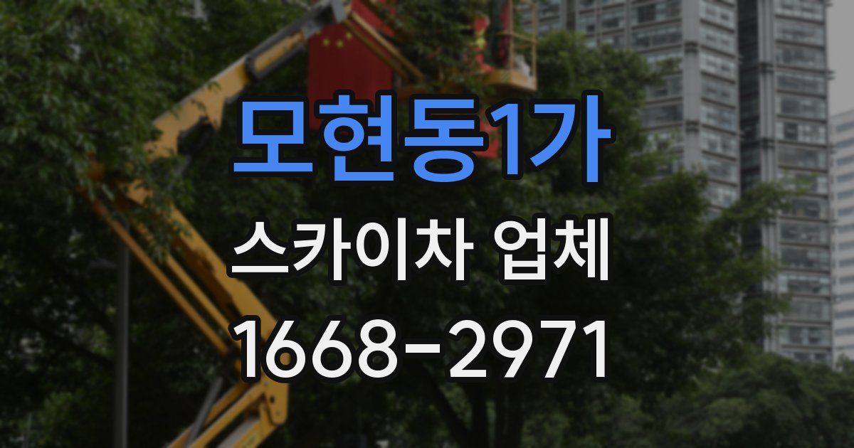 모현동1가 스카이차 업체