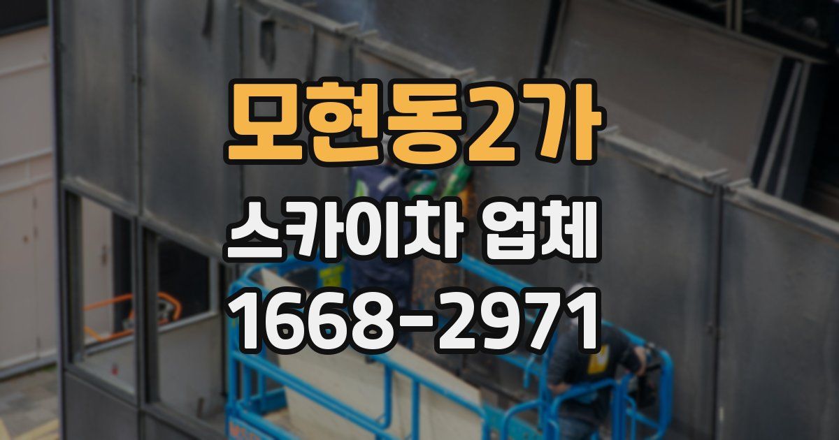 모현동2가 스카이차 업체