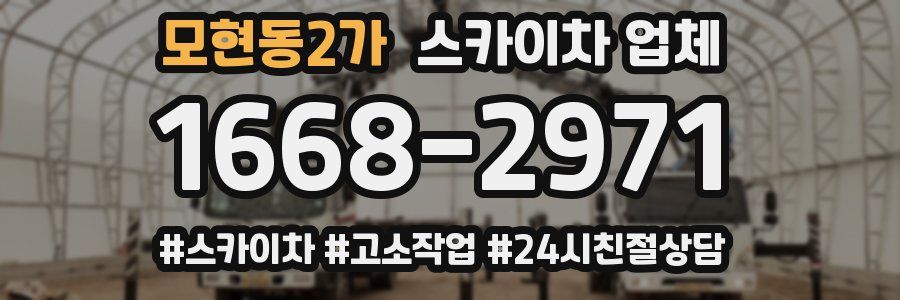 모현동2가 스카이차 업체