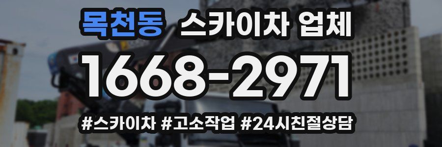 목천동 스카이차 업체