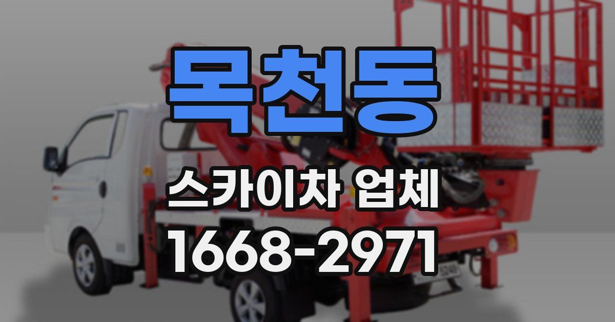 목천동 스카이차 업체
