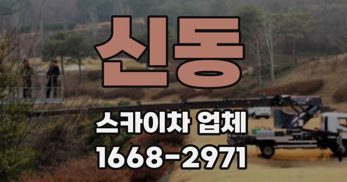 신동 스카이차 업체