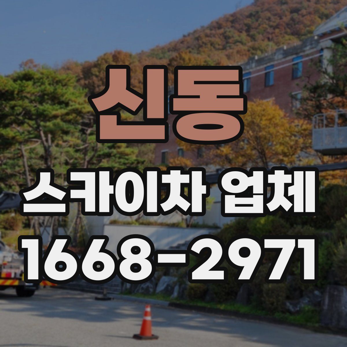 신동 스카이차 업체