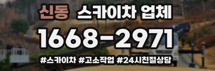 신동 스카이차 업체