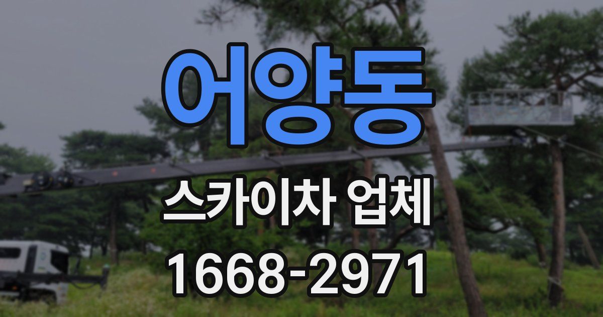 어양동 스카이차 업체