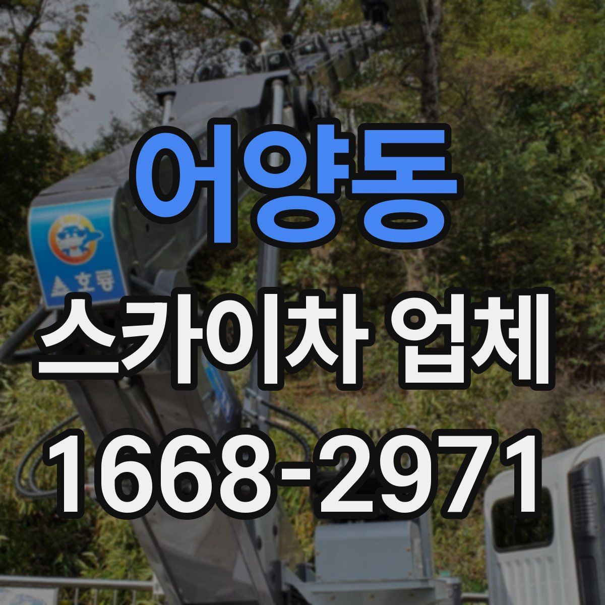 어양동 스카이차 업체