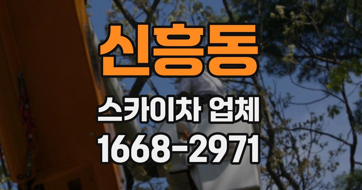 신흥동 스카이차 업체