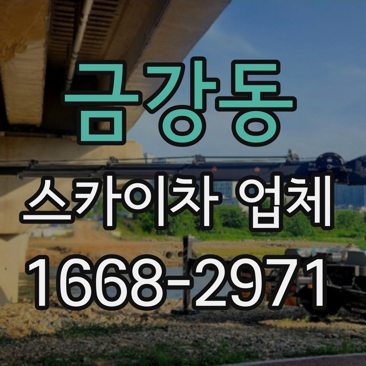 금강동 스카이차 업체