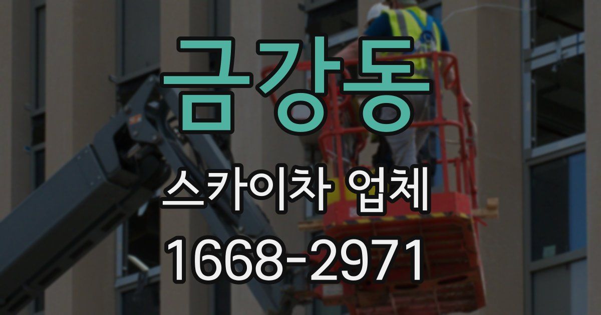 금강동 스카이차 업체