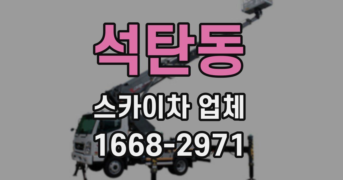 석탄동 스카이차 업체
