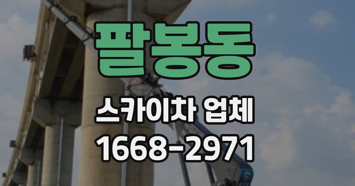 팔봉동 스카이차 업체