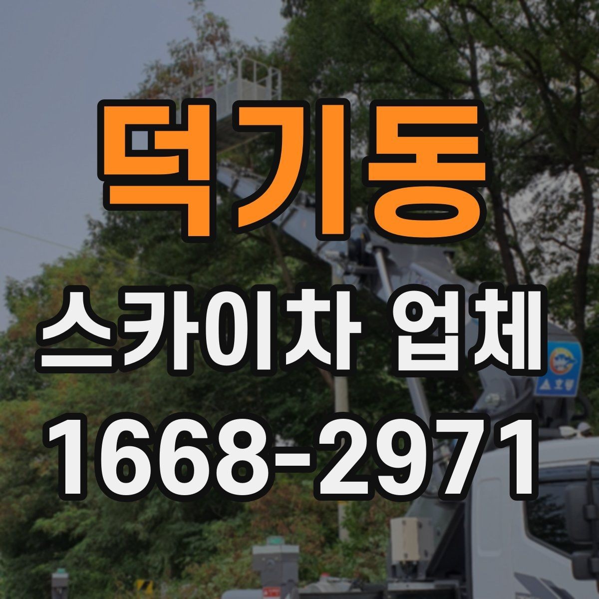 덕기동 스카이차 업체 운영 시간과 예약 팁
