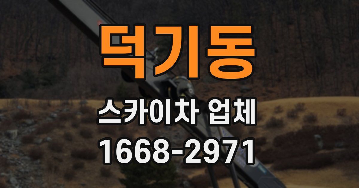 덕기동 스카이차 업체