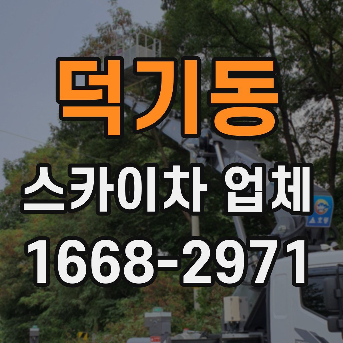 덕기동 스카이차 업체
