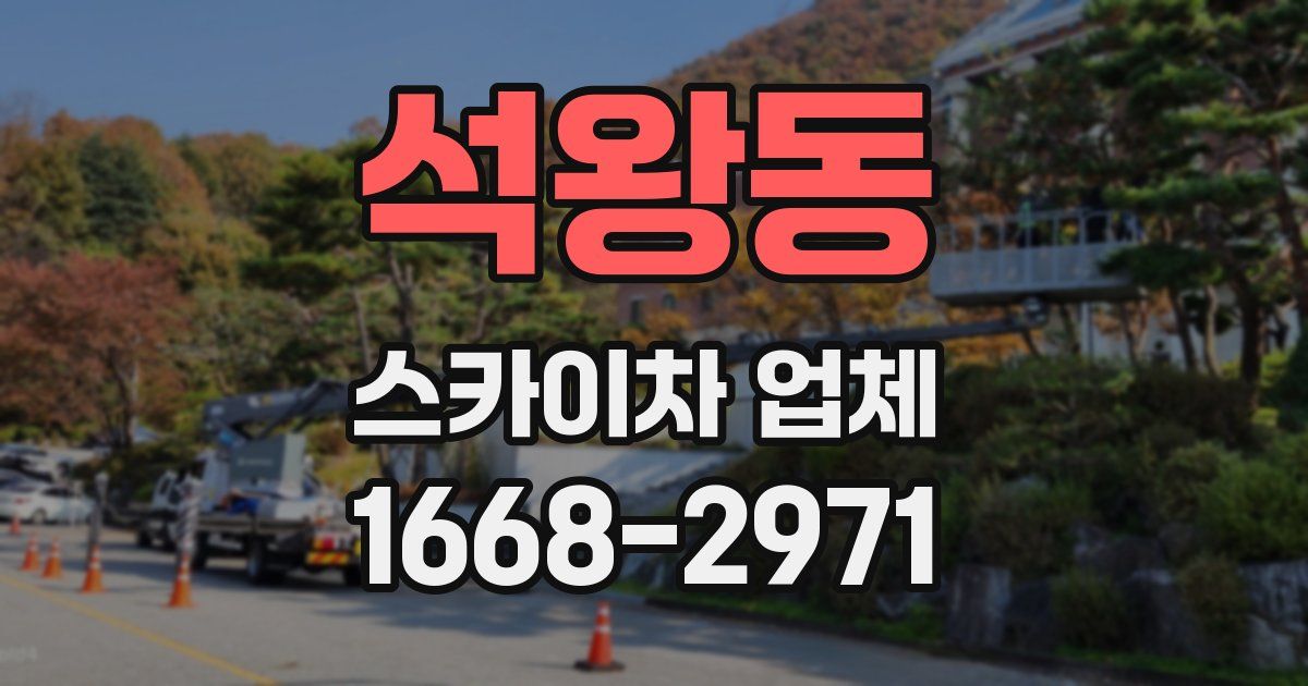 석왕동 스카이차 업체