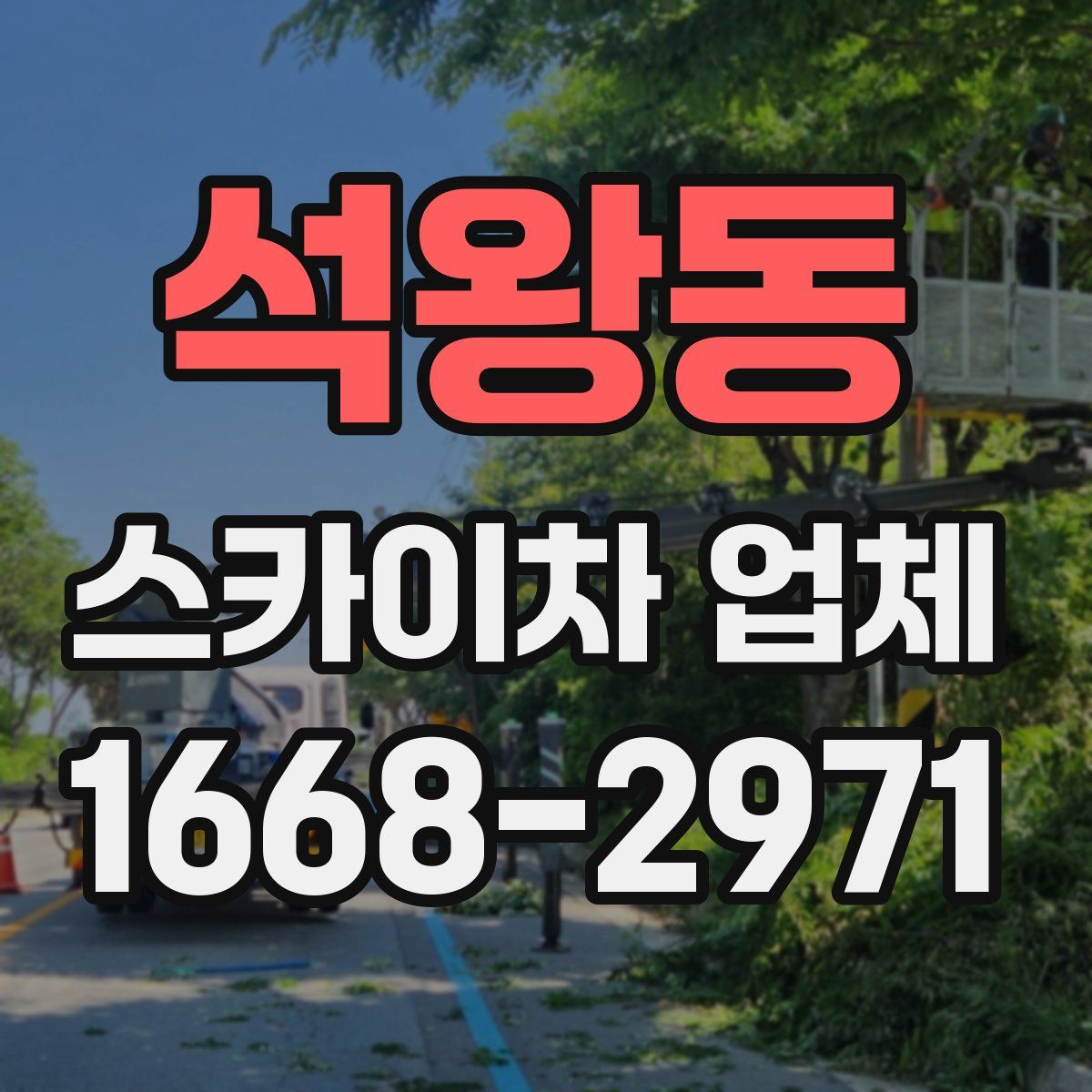 석왕동 스카이차 업체