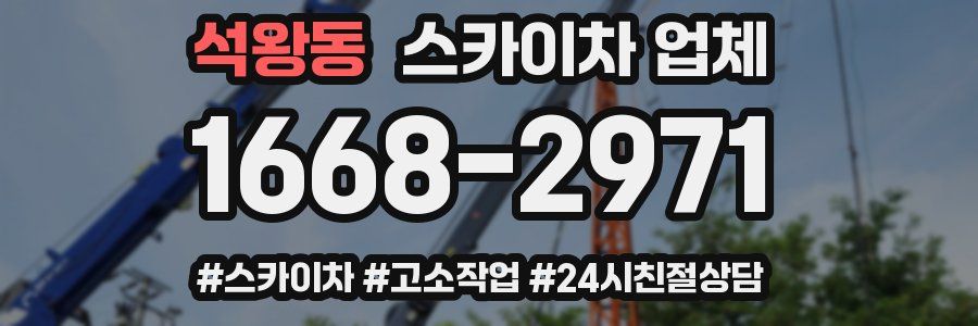 석왕동 스카이차 업체