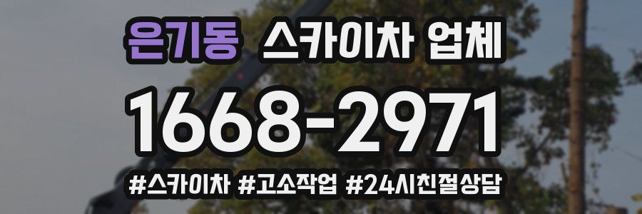 은기동 스카이차 업체