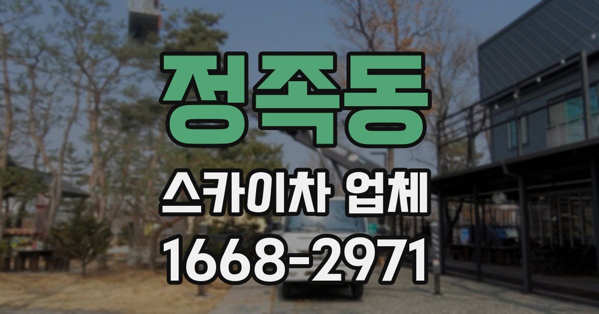 정족동 스카이차 업체