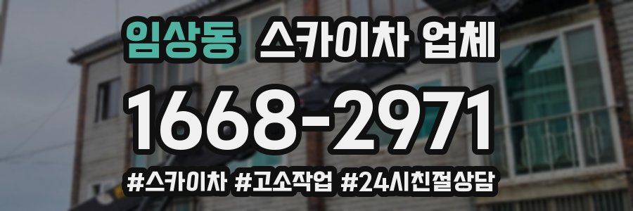 임상동 스카이차 업체