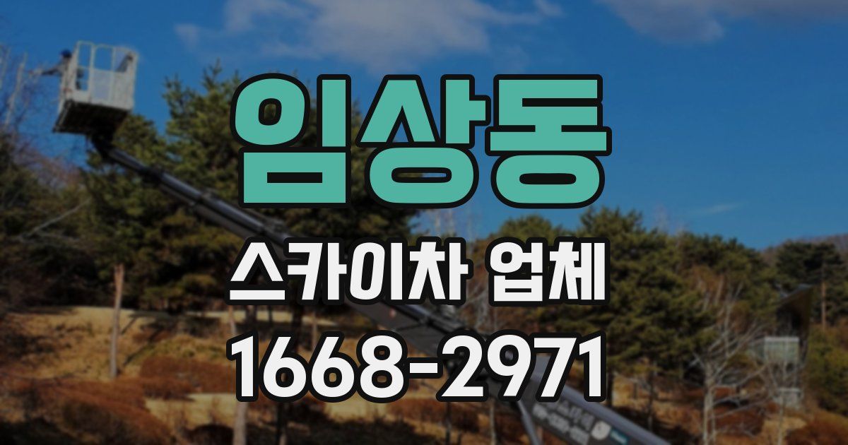 임상동 스카이차 업체