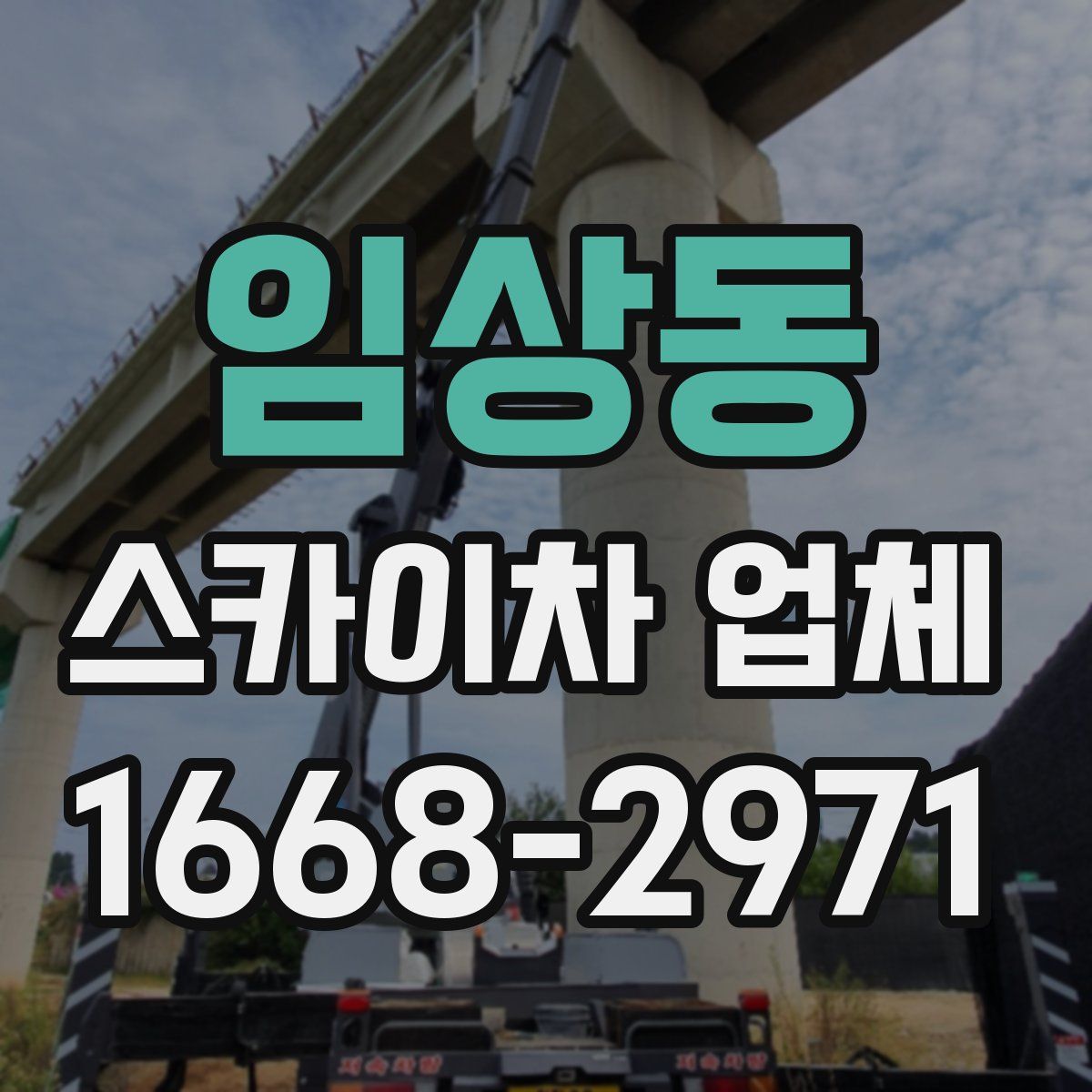 임상동 스카이차 업체