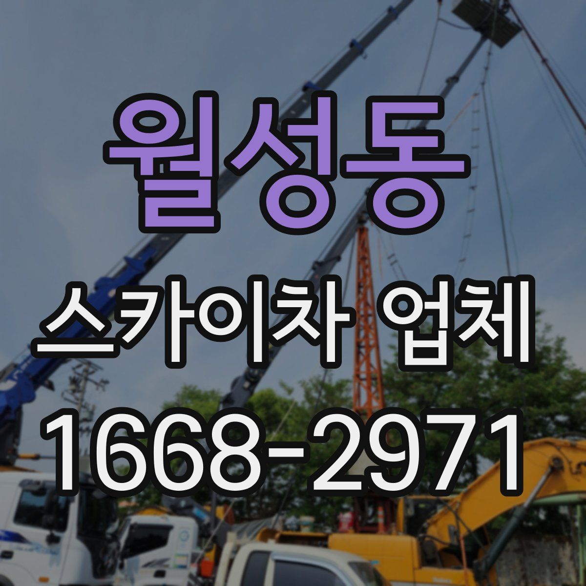 월성동 스카이차 업체