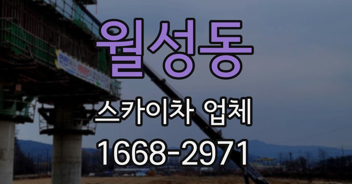 월성동 스카이차 업체