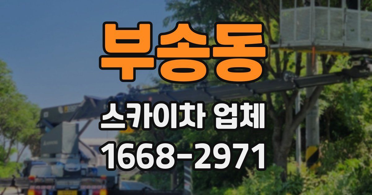 부송동 스카이차 업체