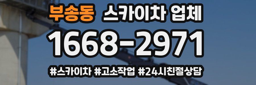 부송동 스카이차 업체