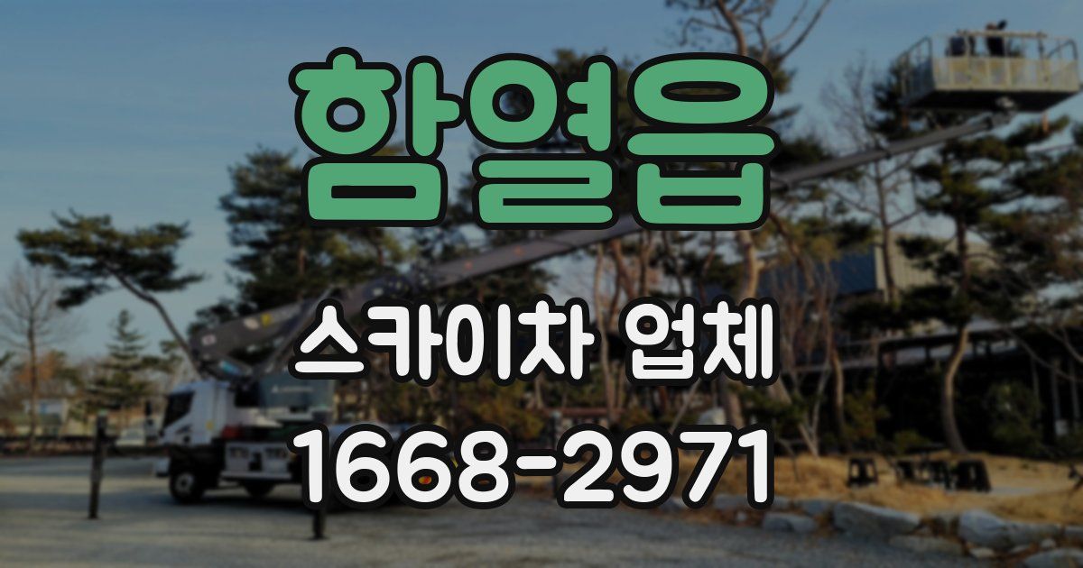 함열읍 스카이차 업체
