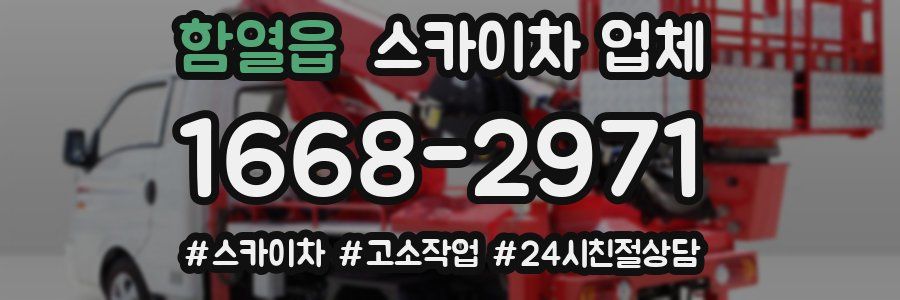 함열읍 스카이차 업체