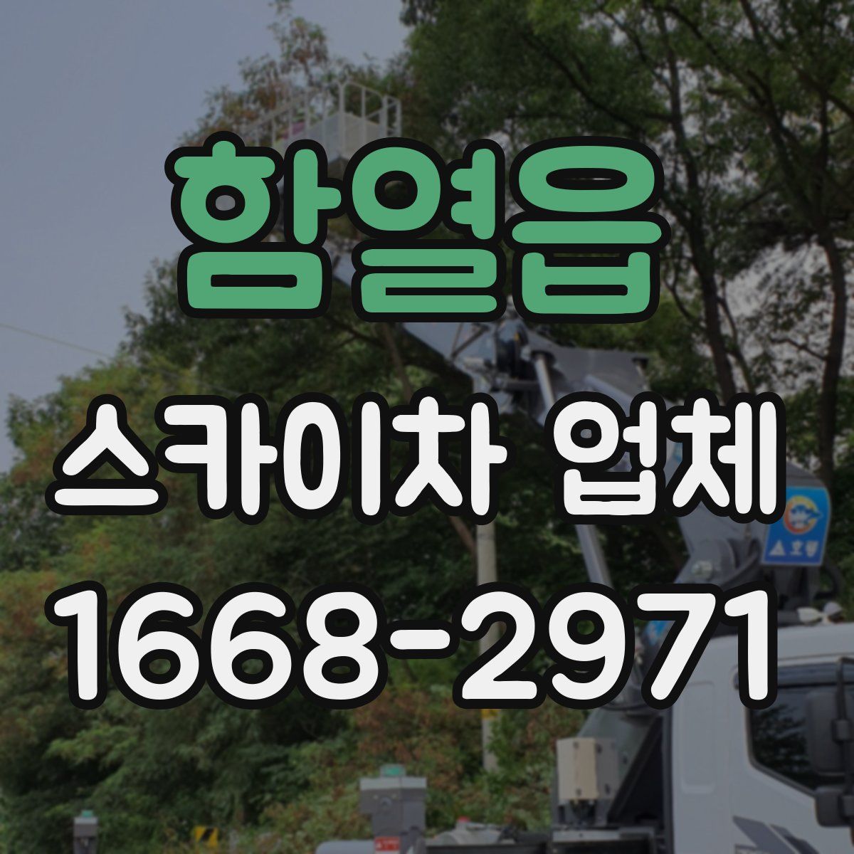 함열읍 스카이차 업체