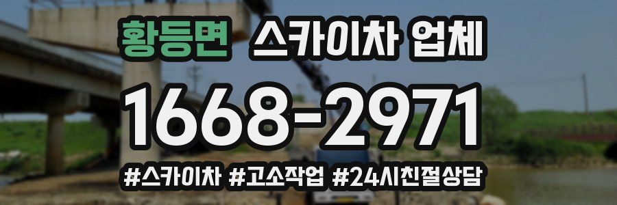 황등면 스카이차 업체
